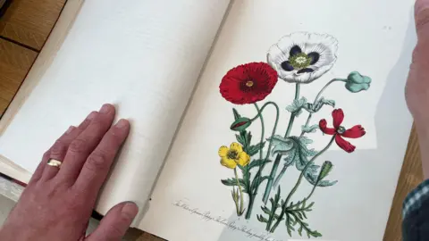 Leeds City Council An open book with drawings of flowers and their names. 