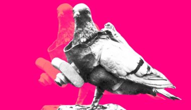 Balloonists, mad men and pigeons — the great pioneers of photography