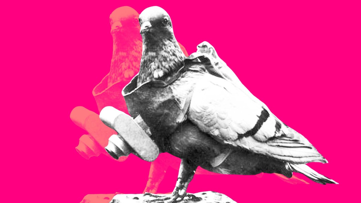 Balloonists, mad men and pigeons — the great pioneers of photography