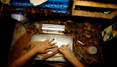 Canada asked to investigate Cuban cigar imports for forced labour