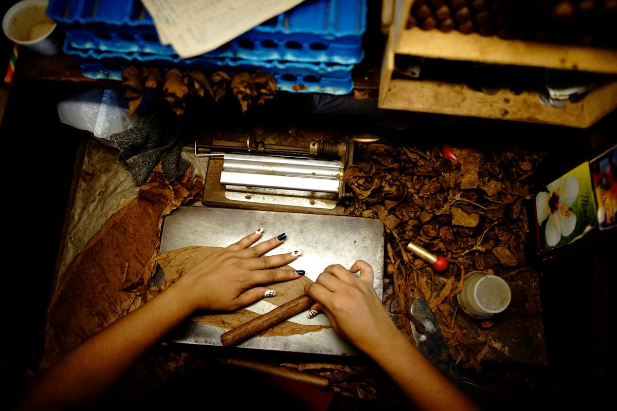 Canada asked to investigate Cuban cigar imports for forced labour