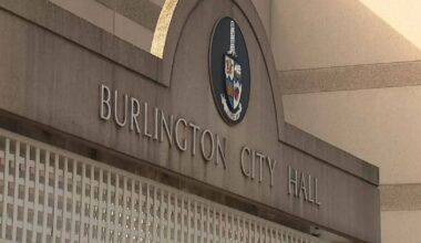 Burlington lays charges after trees on property allegedly cut down without permit