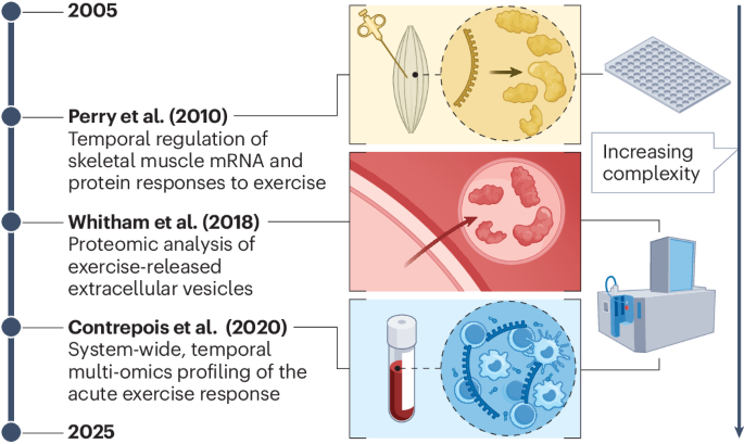 Twenty years of progress in human exercise metabolism research