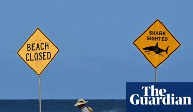 Are shark attacks on the rise in Australia? And what is being done to reduce the risk of fatal interactions? | Sharks