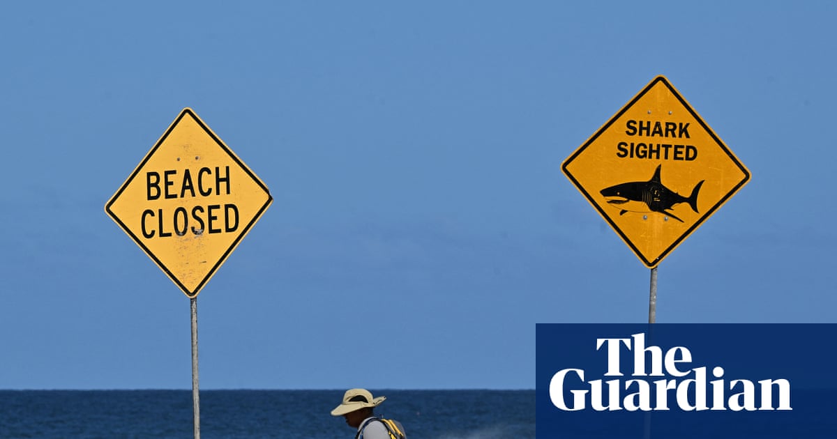 Are shark attacks on the rise in Australia? And what is being done to reduce the risk of fatal interactions? | Sharks