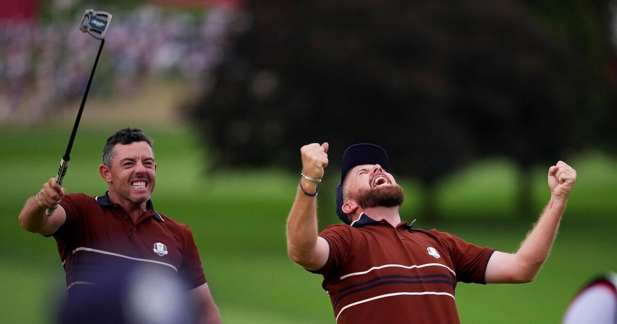 Heroic McIlroy and Lowry silence the simpletons and Bethpage in Ryder Cup classic