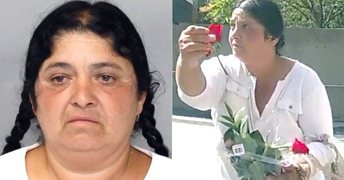 Toronto distraction theft: suspect arrested