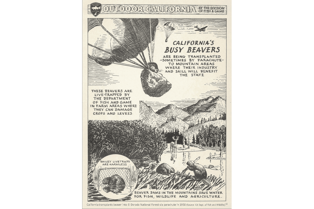 5-A-poster-from-the-mid-20th-century