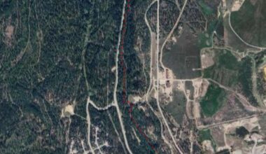 Part of Lion's Trail closed due to cougar activity