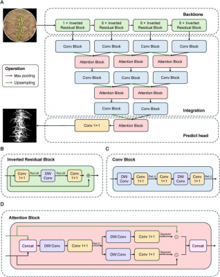 Deep learning model reveals genetic keys to wheat freeze tolerance