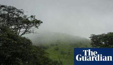 Galápagos Islands, wildlife haven, faces a sexual violence epidemic: ‘Protection is nonexistent’ | Galápagos Islands