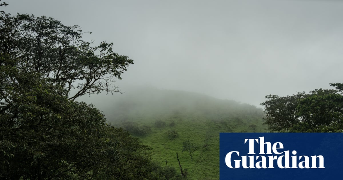 Galápagos Islands, wildlife haven, faces a sexual violence epidemic: ‘Protection is nonexistent’ | Galápagos Islands