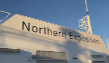 Humpback whale ‘Midnight’ dies following collision with BC Ferries vessel - BC