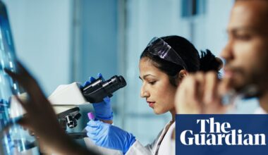 Britain is ‘a terrible place’ to sell medicines, says drug firm executive | Pharmaceuticals industry