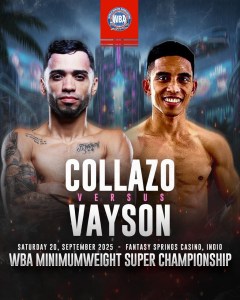 A Clash of Styles for the WBA Minimumweight Crown – World Boxing Association