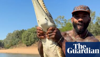 Steve Irwin’s father condemns ‘reckless’ content creators amid outrage over US man wrestling wild crocodiles | Queensland