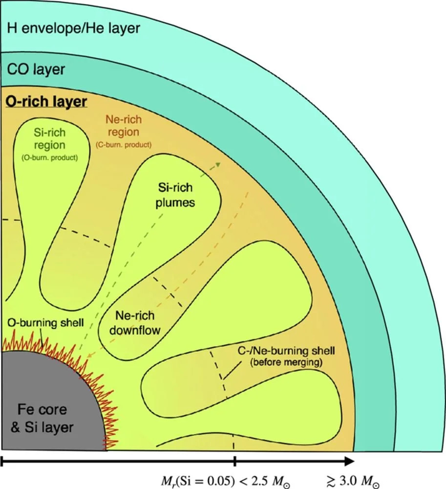 A diagram showing the interior of a star