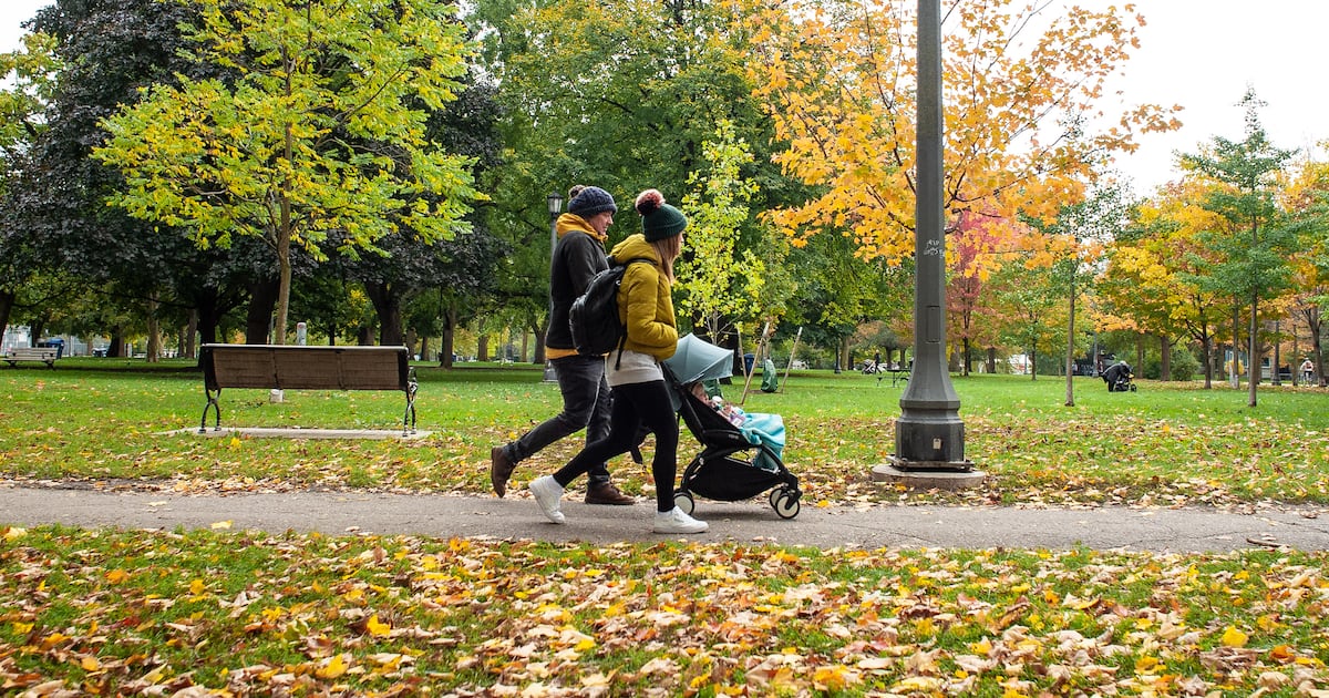 Canada’s fertility rate has reached a new low - CTV News