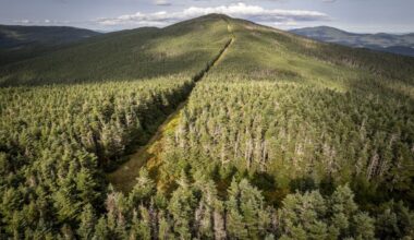 Trump cuts hurt conservation efforts in Canada, too