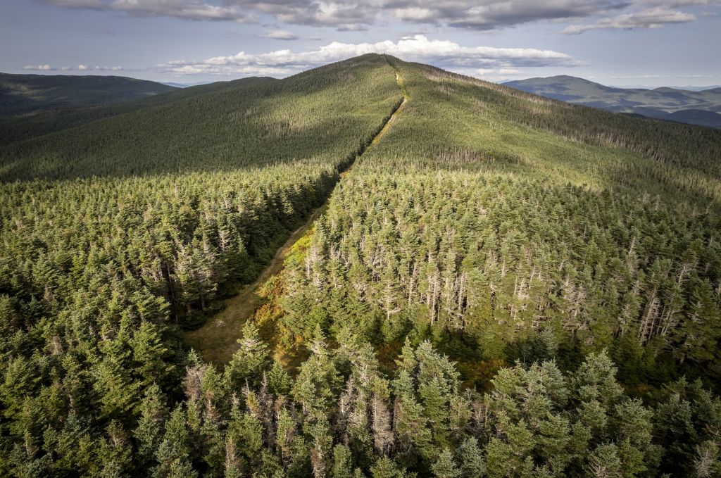 Trump cuts hurt conservation efforts in Canada, too