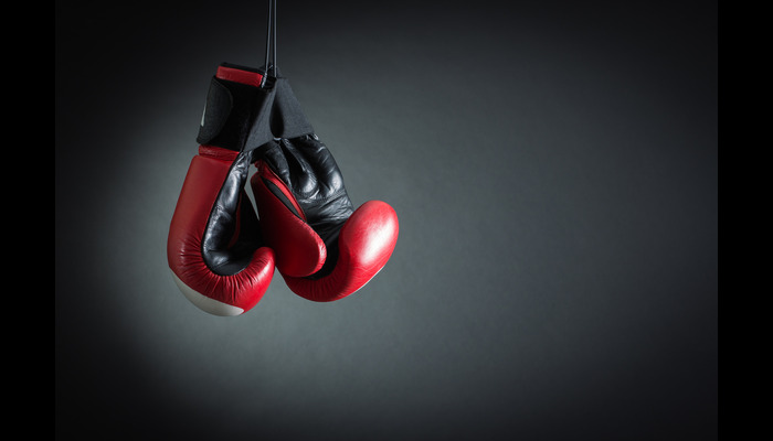Boxing-Glooves