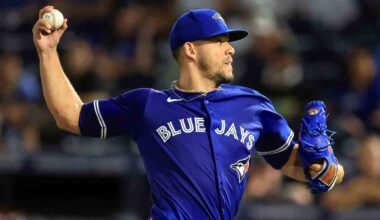 Rays awarded home run vs. Blue Jays after confusing fan interference review
