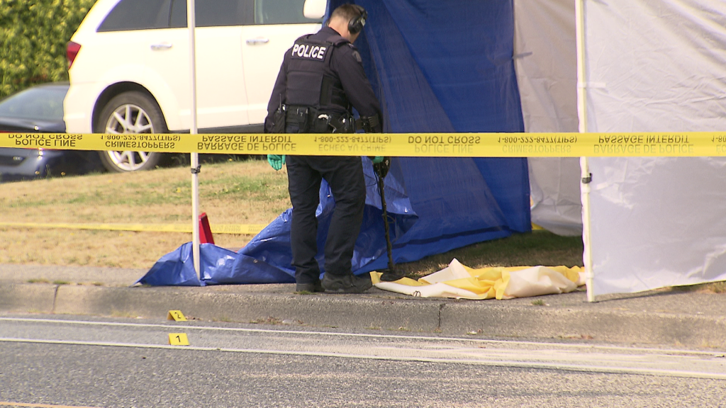 IHIT identifies victim in fatal Friday night shooting in Langley