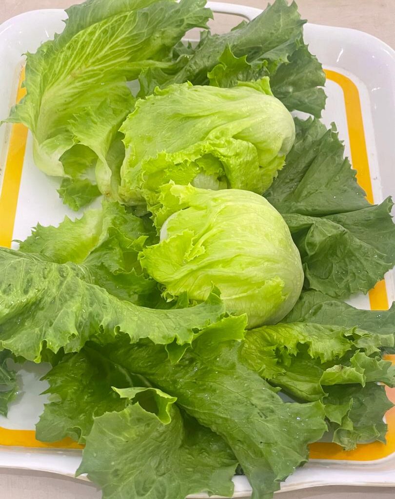 When Lettuce becomes a treasure