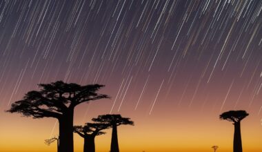 How to see the planet from above and below