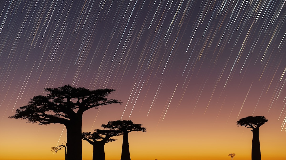 How to see the planet from above and below