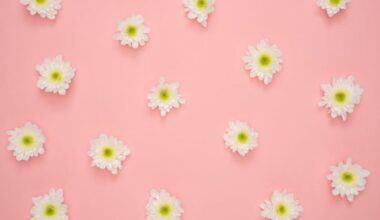 The Books Maslow Never Lived to Write