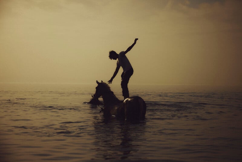 A person balances on the back of a horse standing in shallow water at sunset, silhouetted against the hazy sky.