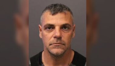 Suspect arrested with replica weapons