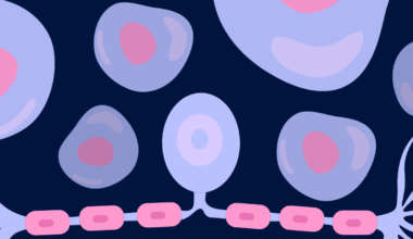 Signals Directing Olfactory Neuron Development