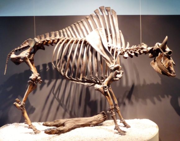  photo P1140627_zpsrdlrgnr9.jpg