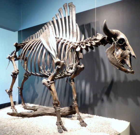  photo P1140629_zps0s6kymo6.jpg