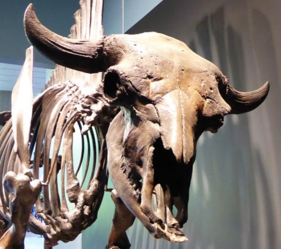  photo P1140630_zpsyp3hrabf.jpg