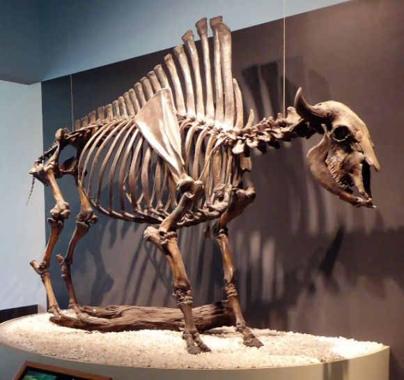  photo P1140647_zpsoqkfh90w.jpg