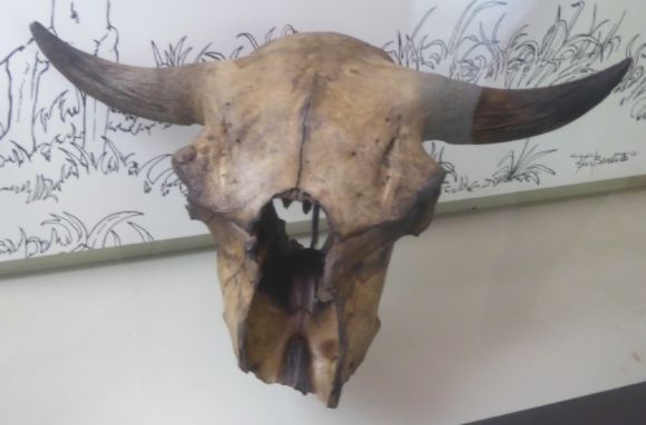  photo P1140784_zpsnrhcbd9g.jpg