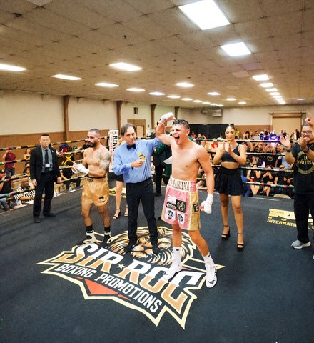 Palacio wins pro boxing debut in convincing fashion