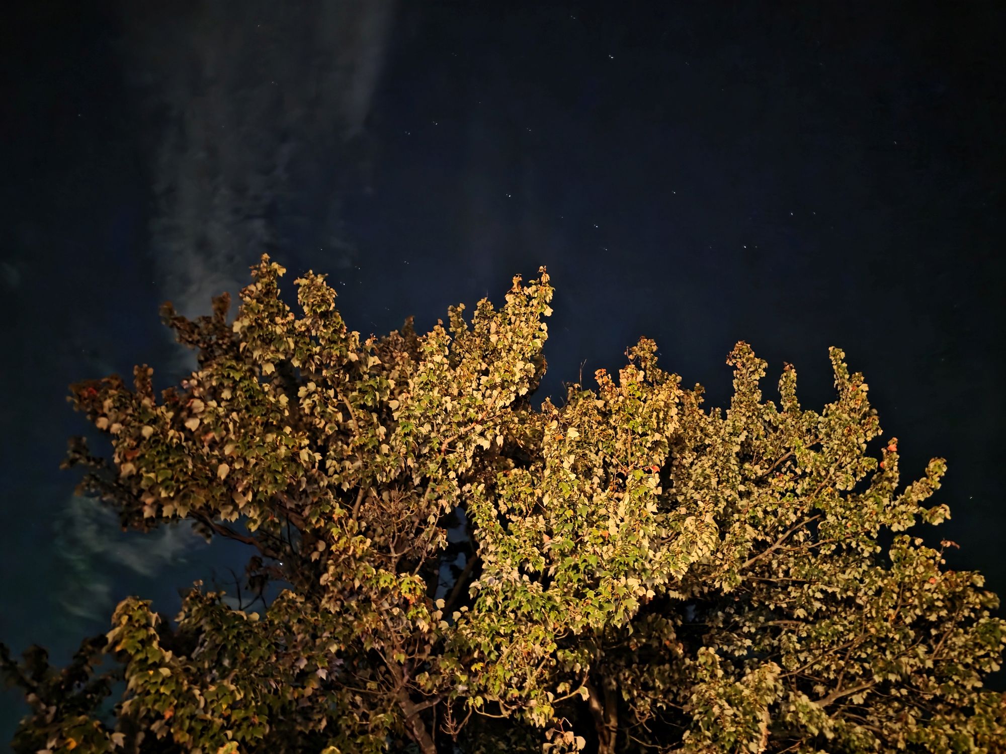 Samsung Galaxy S25 Ultra low light sample.