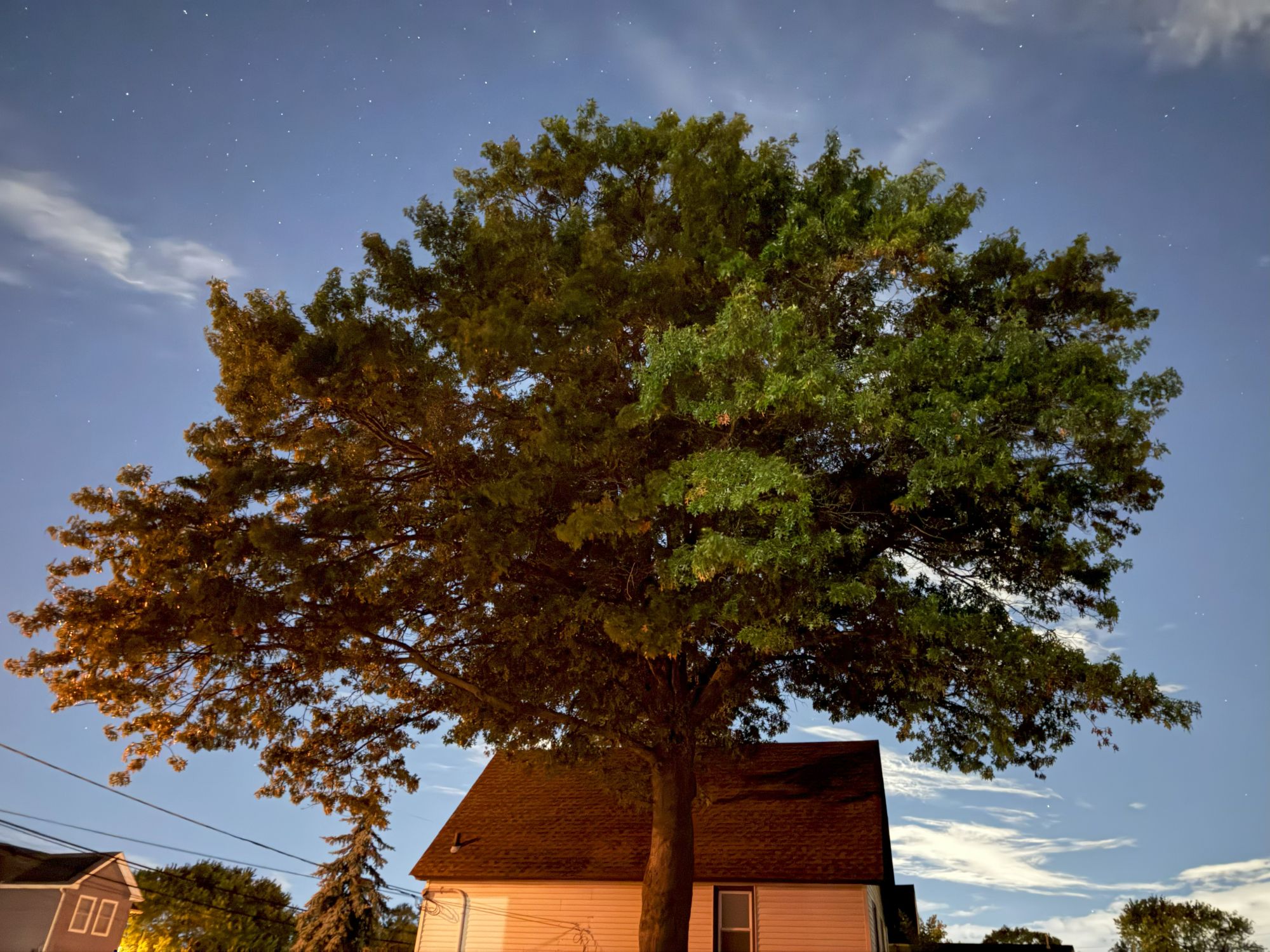 Apple iPhone 17 Pro Max low light sample.