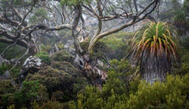 Winners Of the 2025 Natural Landscape Photography Awards » Explorersweb