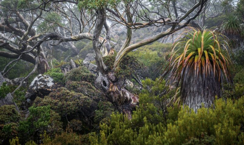 Winners Of the 2025 Natural Landscape Photography Awards » Explorersweb