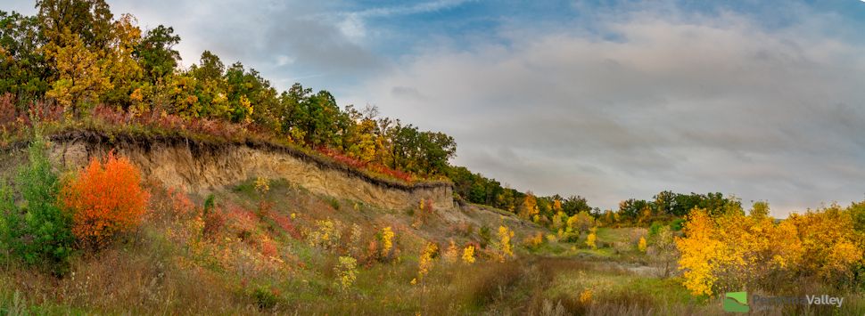 One of Terrance Klassen's most recent photos. (photos have been resized to accomodate website dimensions). 