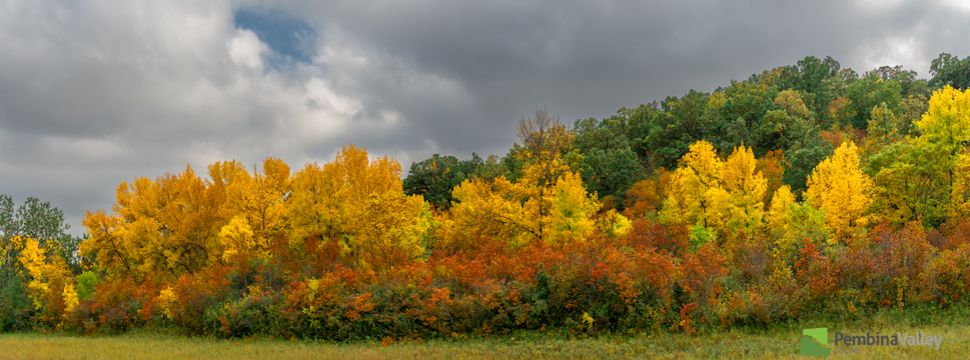 One of Terrance Klassen's most recent photos. (photos have been resized to accomodate website dimensions). 