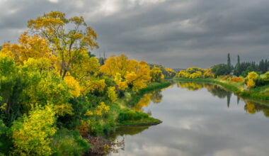 Pembina Valley’s first fall colours: La Riviere through Terrance Klassen’s lens - PembinaValleyOnline.com