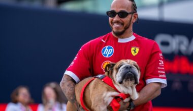 Hamilton misses F1 tire test to care for his seriously ill dog Roscoe