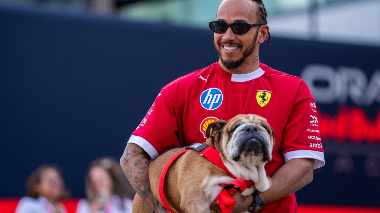 Hamilton misses F1 tire test to care for his seriously ill dog Roscoe