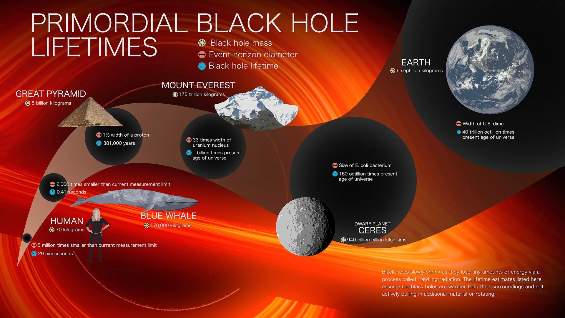 A diagram illustrating the life of a primordial black hole